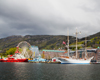 Harbor #2 - 14409-15