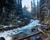 Dean Seaton Photgraphy - Paradise Creek #2 - #11775-14