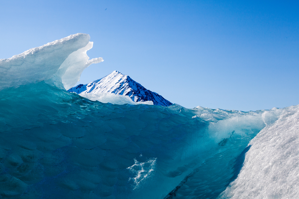 Ice Patterns - 17633-15