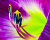 Dean Seaton Photgraphy - Bursting Colors - #17855-15